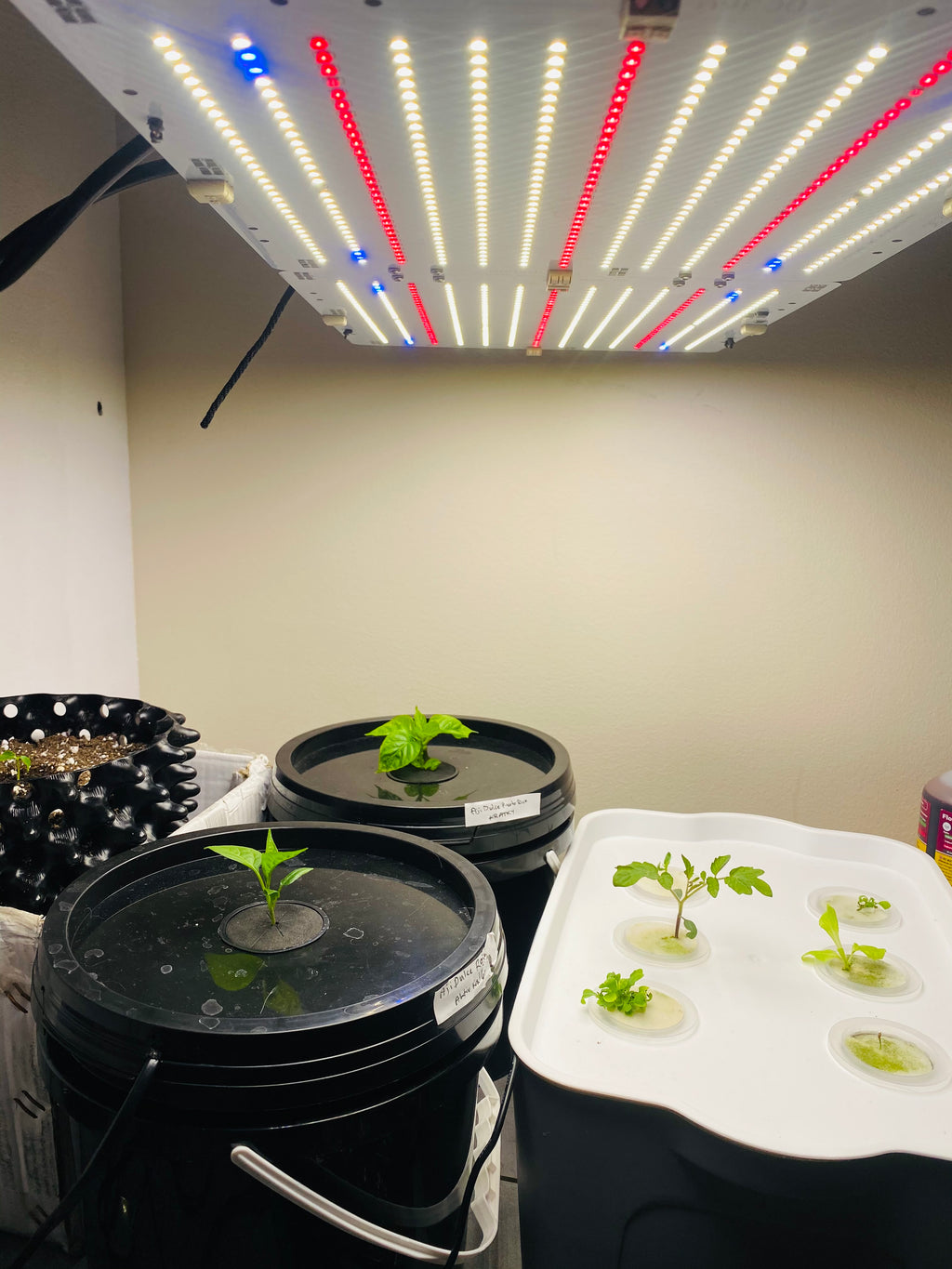 KRATKY